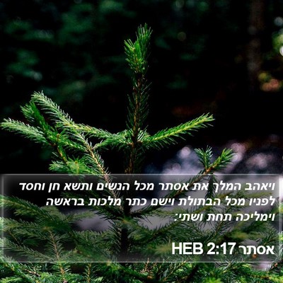 אסתר 2:17 HEB Bible Verse Image