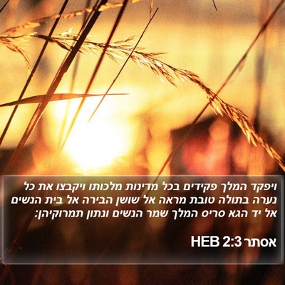 אסתר 2:3 HEB Bible Verse Image