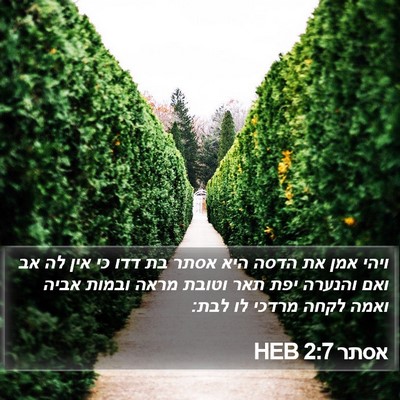 אסתר 2:7 HEB Bible Verse Image