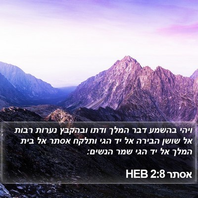 אסתר 2:8 HEB Bible Verse Image