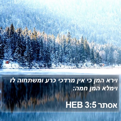 אסתר 3:5 HEB Bible Verse Image