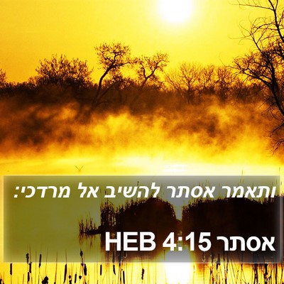 אסתר 4:15 HEB Bible Verse Image