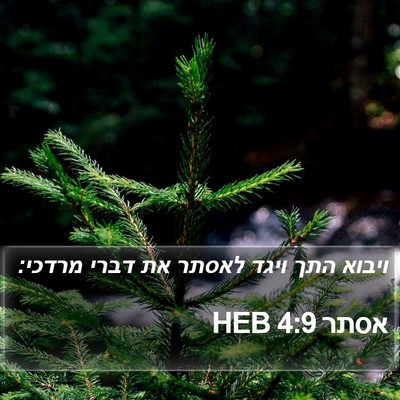אסתר 4:9 HEB Bible Verse Image