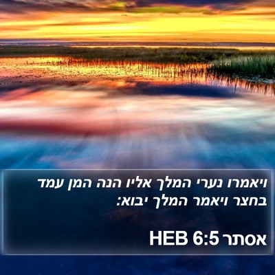 אסתר 6:5 HEB Bible Verse Image