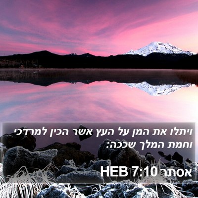 אסתר 7:10 HEB Bible Verse Image