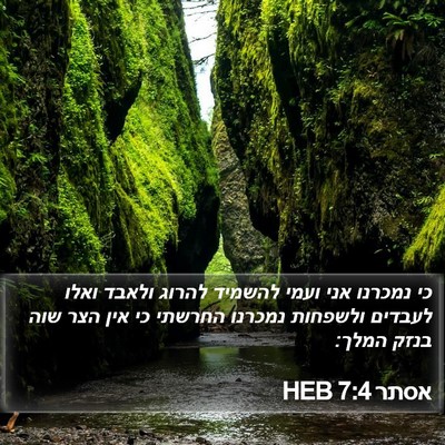אסתר 7:4 HEB Bible Verse Image