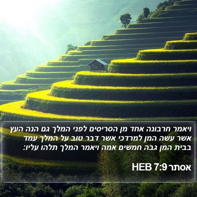 אסתר 7:9 HEB Bible Verse Image