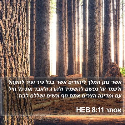 אסתר 8:11 HEB Bible Verse Image