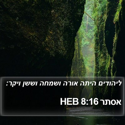 אסתר 8:16 HEB Bible Verse Image