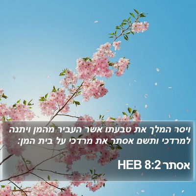 אסתר 8:2 HEB Bible Verse Image