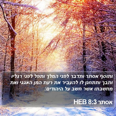 אסתר 8:3 HEB Bible Verse Image