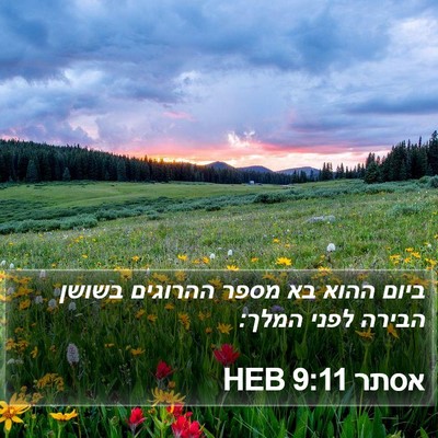 אסתר 9:11 HEB Bible Verse Image
