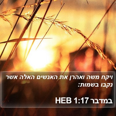 במדבר 1:17 HEB Bible Verse Image