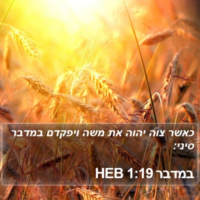 במדבר 1:19 HEB Bible Verse Image