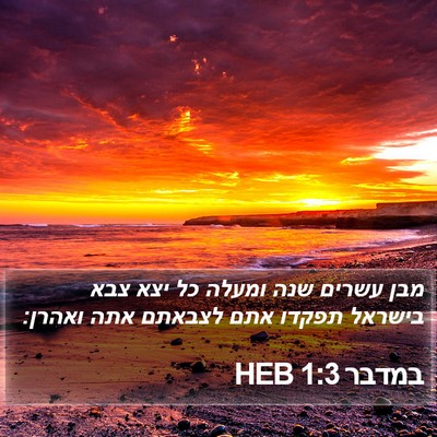 במדבר 1:3 HEB Bible Verse Image