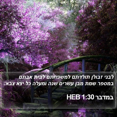 במדבר 1:30 HEB Bible Verse Image