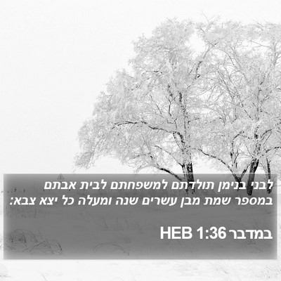 במדבר 1:36 HEB Bible Verse Image