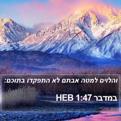 במדבר 1:47 HEB Bible Verse Image