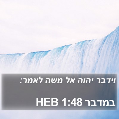 במדבר 1:48 HEB Bible Verse Image