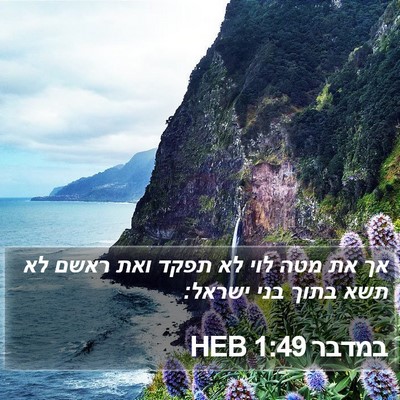 במדבר 1:49 HEB Bible Verse Image