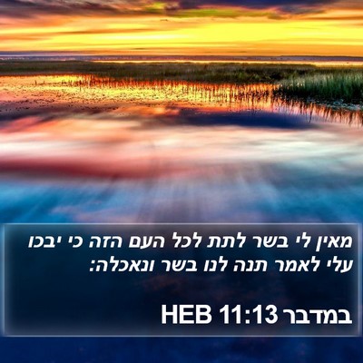 במדבר 11:13 HEB Bible Verse Image