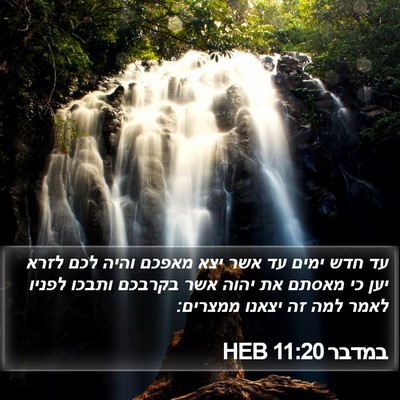 במדבר 11:20 HEB Bible Verse Image