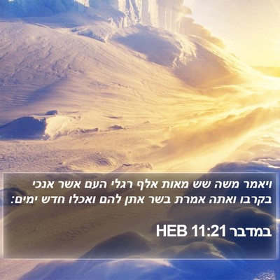 במדבר 11:21 HEB Bible Verse Image