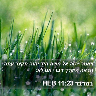 במדבר 11:23 HEB Bible Verse Image