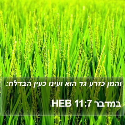 במדבר 11:7 HEB Bible Verse Image