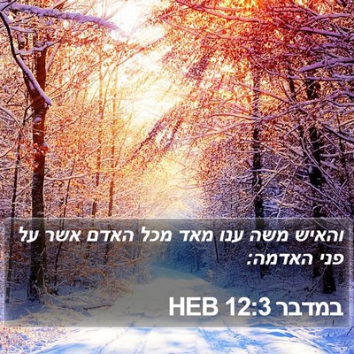 במדבר 12:3 HEB Bible Verse Image