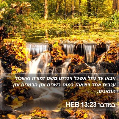 במדבר 13:23 HEB Bible Verse Image