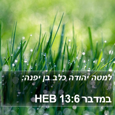 במדבר 13:6 HEB Bible Verse Image