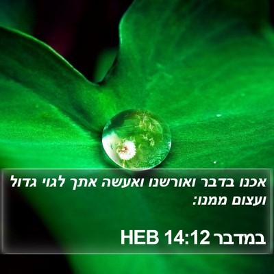 במדבר 14:12 HEB Bible Verse Image