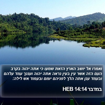 במדבר 14:14 HEB Bible Verse Image