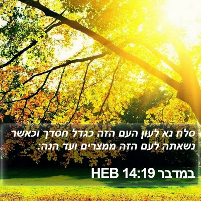 במדבר 14:19 HEB Bible Verse Image