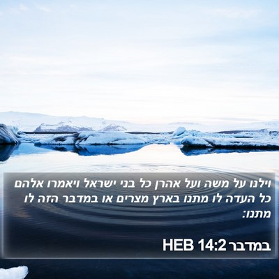 במדבר 14:2 HEB Bible Verse Image