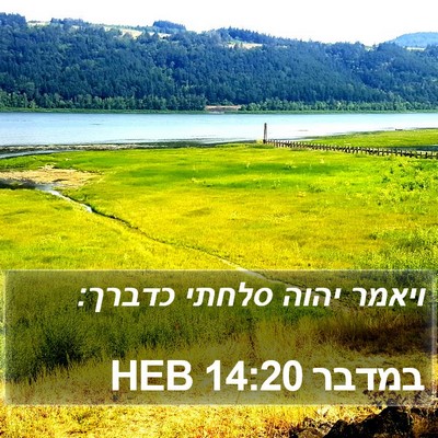 במדבר 14:20 HEB Bible Verse Image