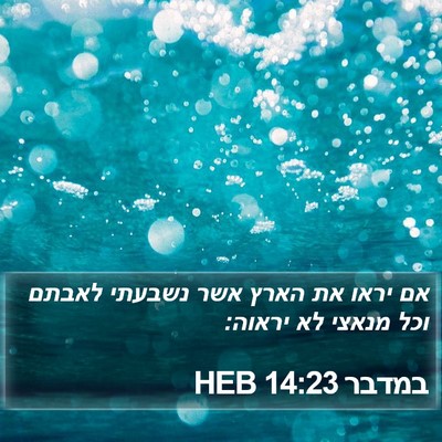 במדבר 14:23 HEB Bible Verse Image