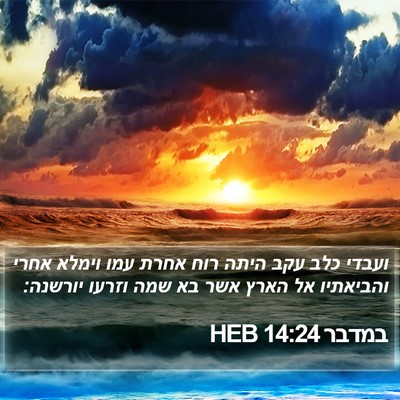 במדבר 14:24 HEB Bible Verse Image