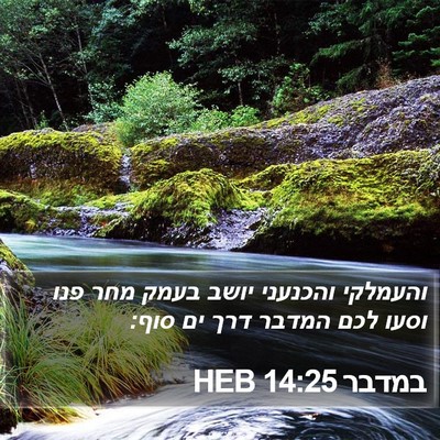 במדבר 14:25 HEB Bible Verse Image