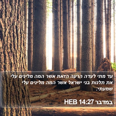 במדבר 14:27 HEB Bible Verse Image