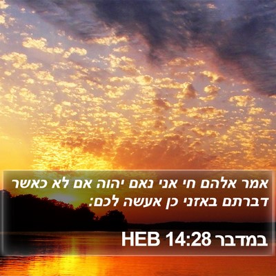 במדבר 14:28 HEB Bible Verse Image