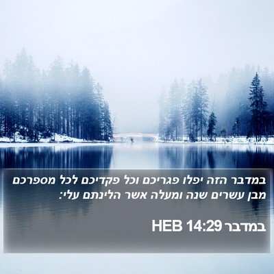 במדבר 14:29 HEB Bible Verse Image