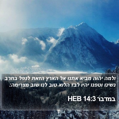 במדבר 14:3 HEB Bible Verse Image