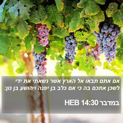 במדבר 14:30 HEB Bible Verse Image