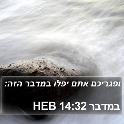 במדבר 14:32 HEB Bible Verse Image