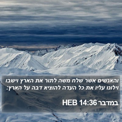 במדבר 14:36 HEB Bible Verse Image