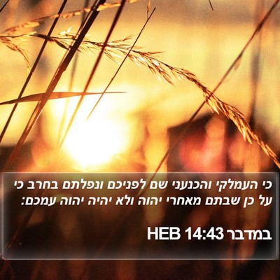 במדבר 14:43 HEB Bible Verse Image