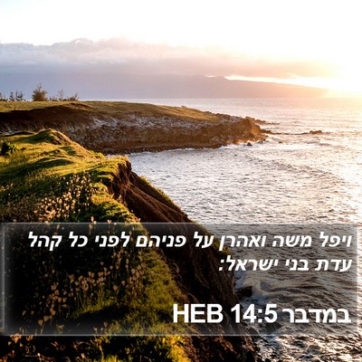במדבר 14:5 HEB Bible Verse Image