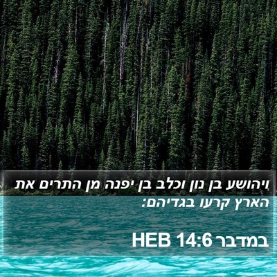 במדבר 14:6 HEB Bible Verse Image